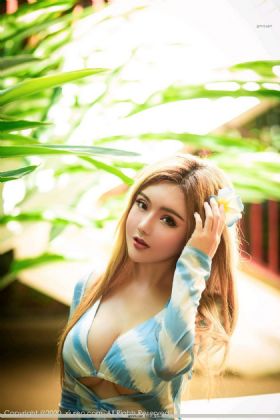 神雕后宫录小说
